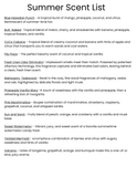 Patchwork Bow Freshie